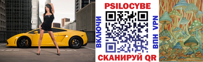 мега зеркало  Вилючинск  Галлюциногенные грибы Cubensis 