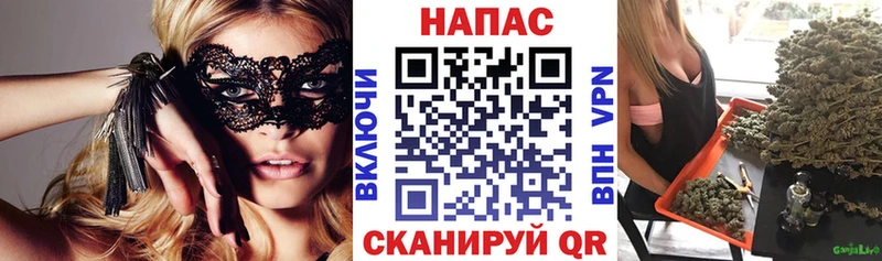 Бошки Шишки планчик  Вилючинск 